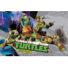 TOVAGLIETTA AMERICANA TURTLES MC0248