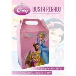 CAJA REG. PRINCESS L 21*34*13