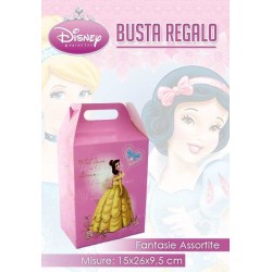 CAJA REG. PRINCESS M 15*22*8