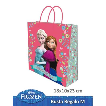 BUSTA CARTA 23*18*10 FROZEN